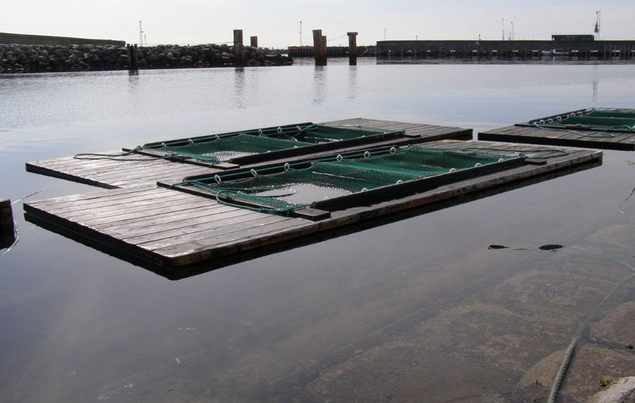Kanal Frederikshavn
