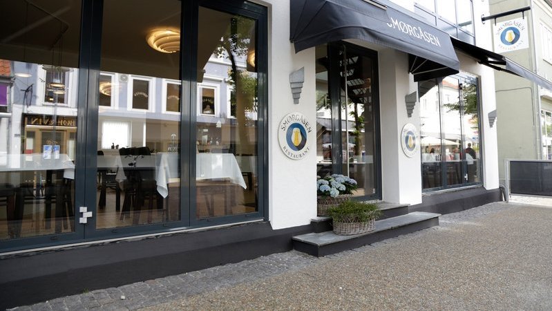 Michael Madsen, Wizion