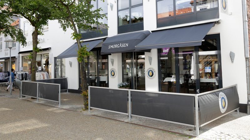 Michael Madsen, Wizion