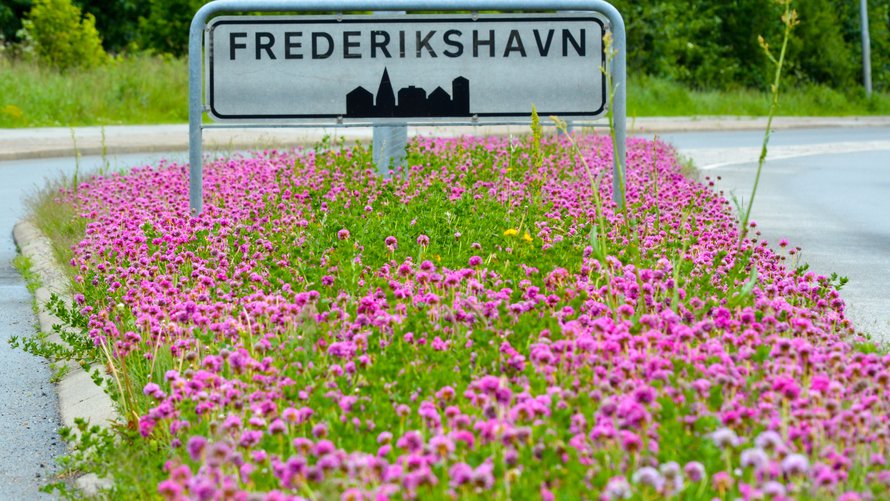 Kanal Frederikshavn