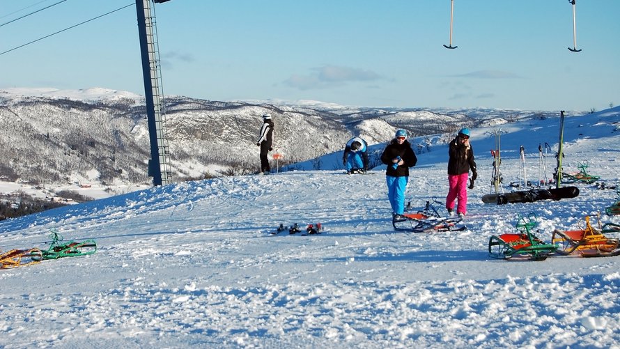 Mogens Vestergård Pedersen