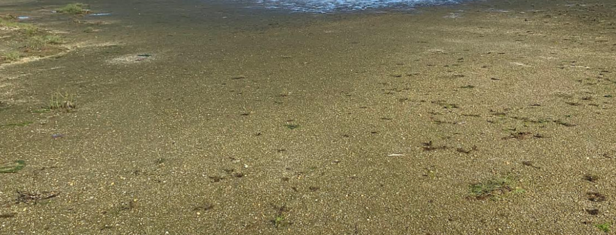 Hans-Christian Lauritzen, TV2 Nord