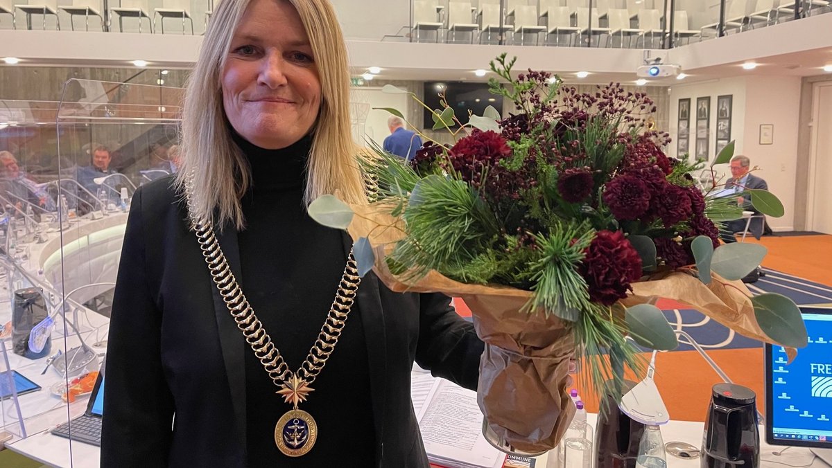 Birgit Meister Frederikshavn Kommunes borgmester har fået nyt job og træder tilbage
