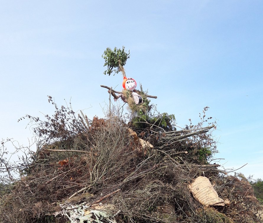 Bjarne Krogh-Pedersen